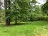 1159 Prospect Rd photo